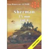 484 SHERMAN 75 MM VOL. 1
