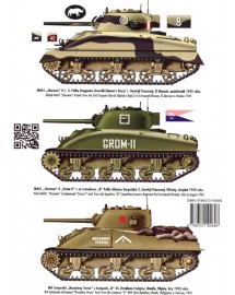 484 SHERMAN 75 MM VOL. 1