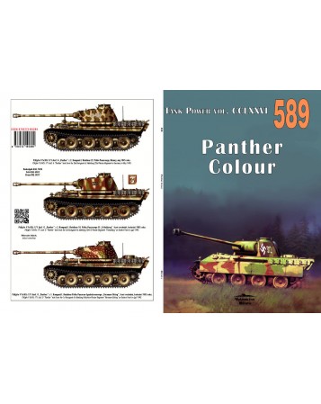 589 PANTHER COLOUR