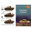 589 PANTHER COLOUR