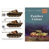 589 PANTHER COLOUR