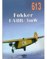 NR 613 FOKKER F-VII 3m/W