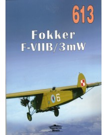 NR 613 FOKKER F-VII 3m/W