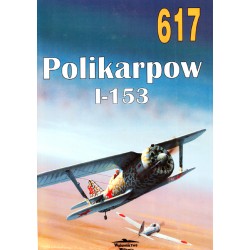 NR 617 POLIKARPOW I-153