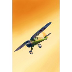NR 565 PZL P.11c